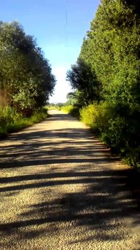 Abbasın Velinin ve Hacca Özdemir 'ın oğlu Selami Özdemir ve Kibar Özdemir 'in oğlu Serdar Özdemir ve eşi Serap Özdemir 'in Albümünden.. Kuş sesleri mükemmel
