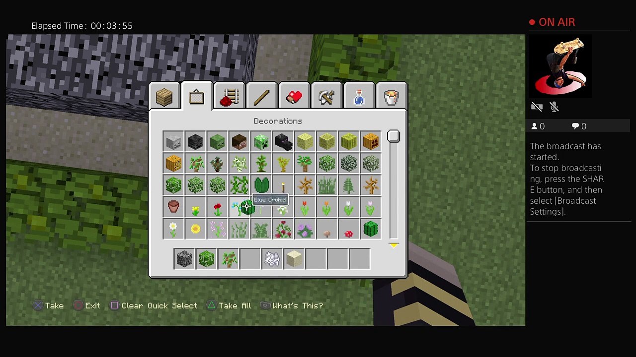 Mincraft (3)