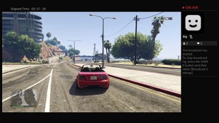 Gta online (22)