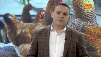 Ne Shtepine Tone, 21 Prill 2017, Pjesa 2 - Top Channel Albania - Entertainment Show