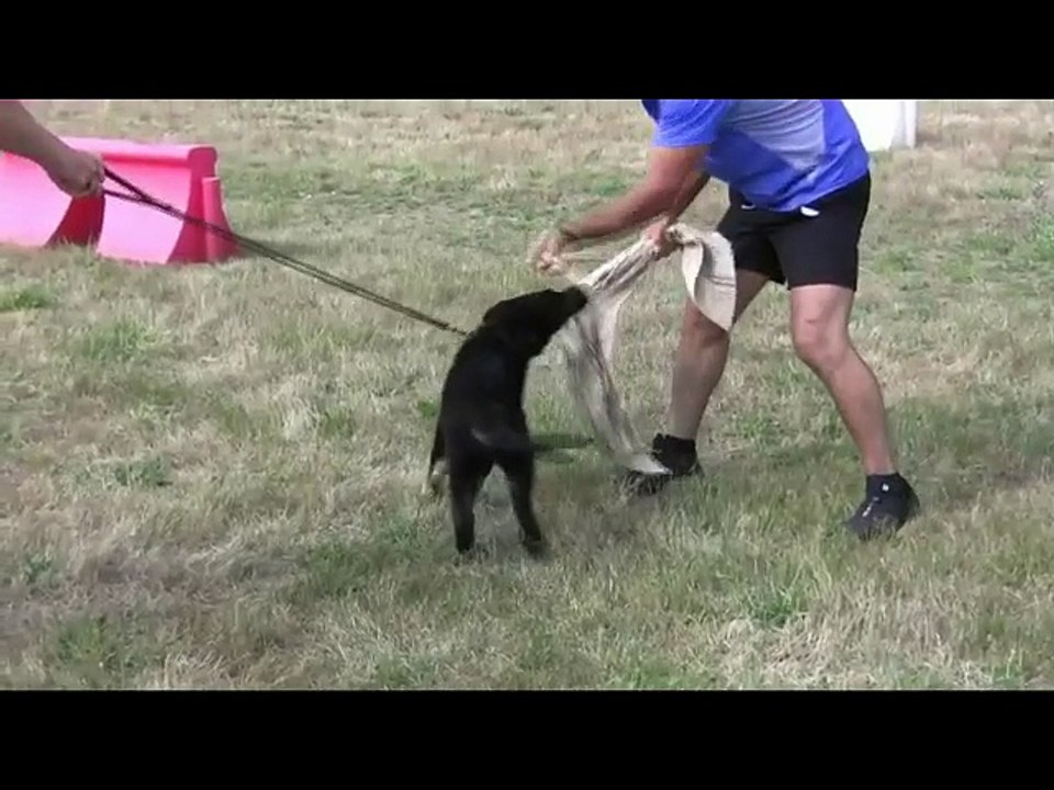 PARCOURS D'OBSTACLES
