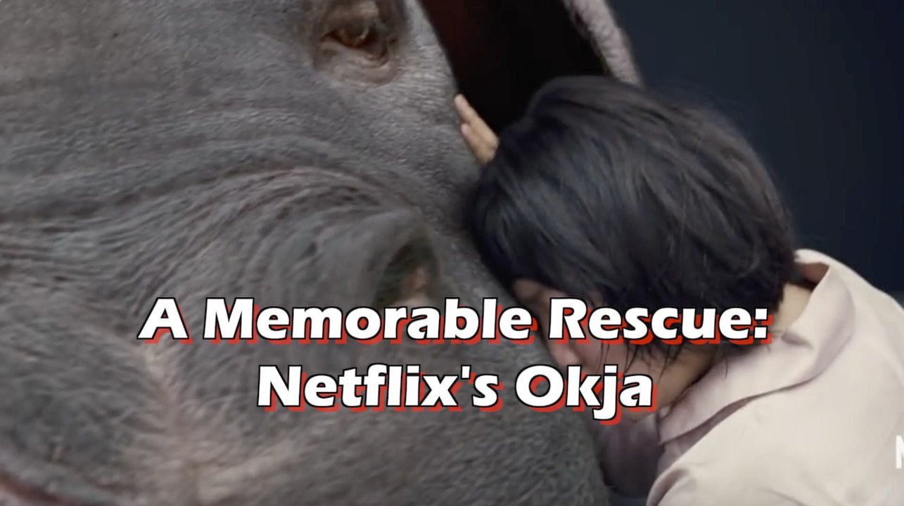 Netflix's OKJA - The Animal Liberation Front