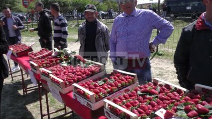 Report TV - Panair luleshtrydhesh në Fier marrin pjesë dhjetëra fermerë