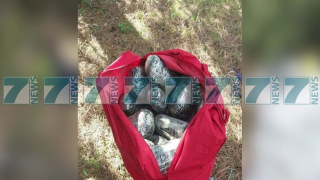 KAPEN 121 PAKO ME KANABIS SATIVA - News, Lajme - Kanali 13