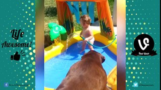 Funny Kids Fails Compilation 2017 (Part 15) - Best Funny Kids Videos   by Life Awesome