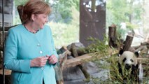 Merkel und Xi Jinping wollen engere Zusammenarbeit