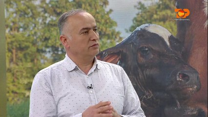 Ne Shtepine Tone, 25 Prill 2017, Pjesa 2 - Top Channel Albania - Entertainment Show