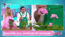 Nilüfer