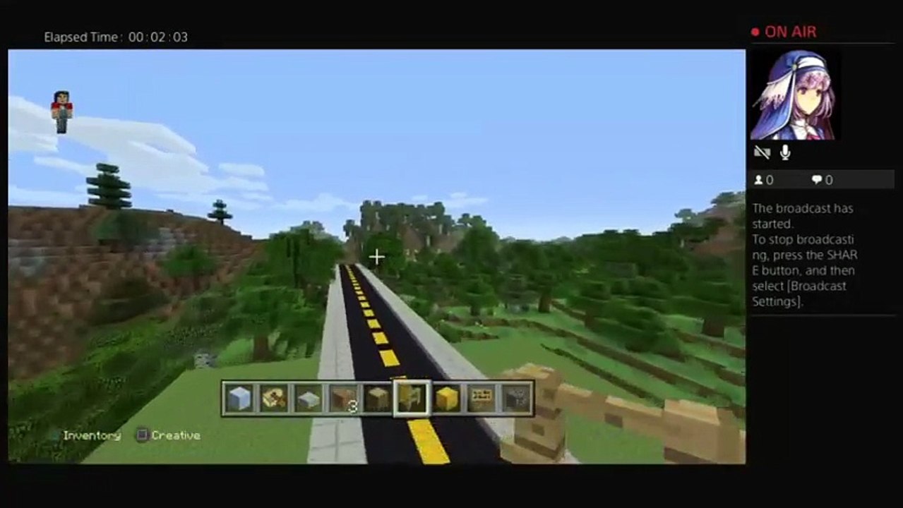 Minecraft City Behind the scenes (56)