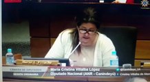 Diputada Cristina Villalba