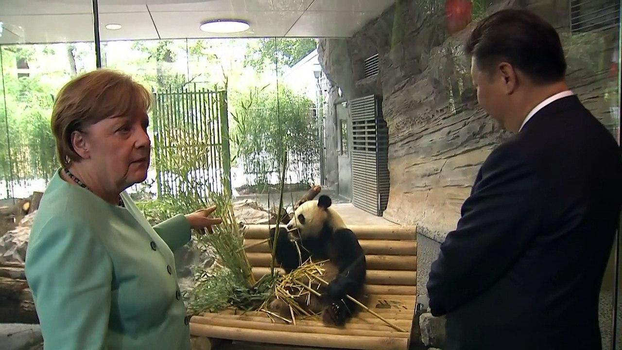 Pandas da união