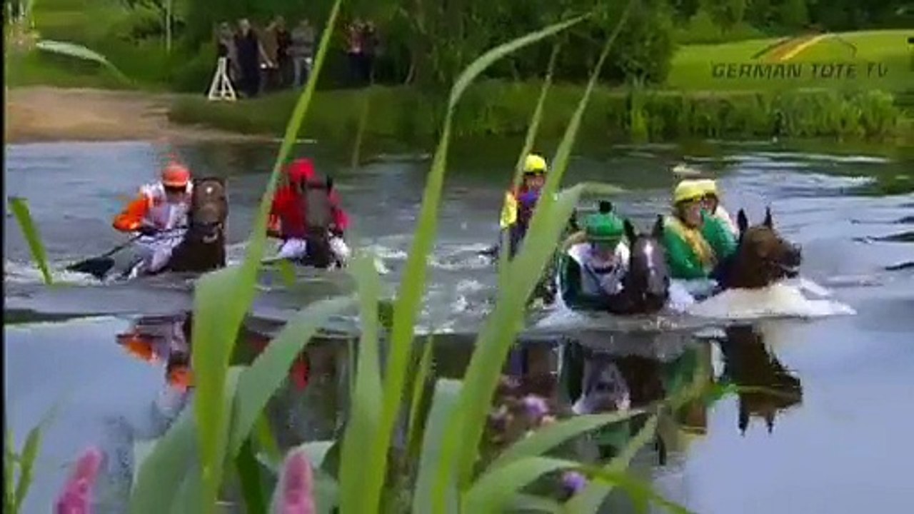 2017 Alpine Motorenöl-Seejagdrennen - Novalis