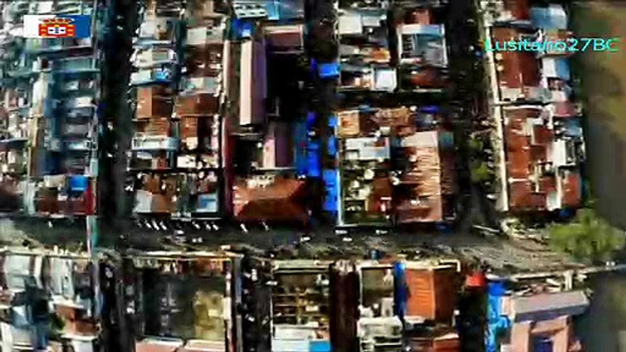 Como os animais podem salvar o mundo