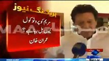 Imran Khan's Response On Maryam Nawaz Appears In Panama JIT