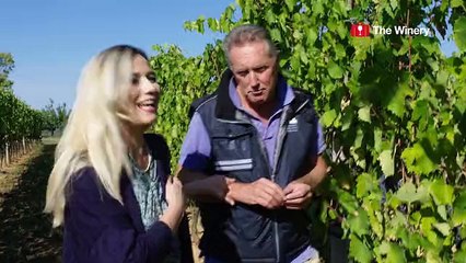 The Winery, Season 1, Episode 2, Vignaioli Morellino di Scansano in Maremma Tuscany, Italy_sd_STREAM