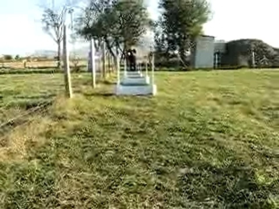 Alpha au Flyball