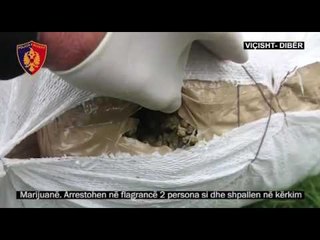 Ora News - Kapet 105 kg marijuanë në kufi me Maqedoninë, trafikantët qëllojnë me armë