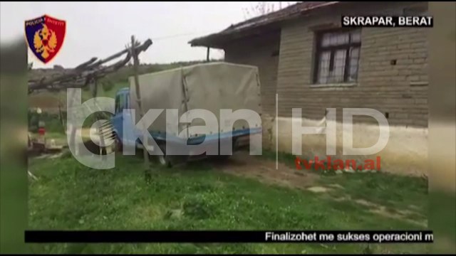 Sekuestrohen 1888 kg kanabis në Skrapar