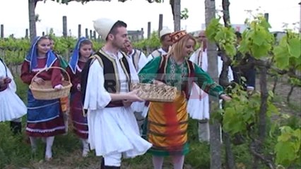 Report TV - Berat,rikthehet Festa e Gjethes me japrakun,tradita 6 vite e ndërprerë