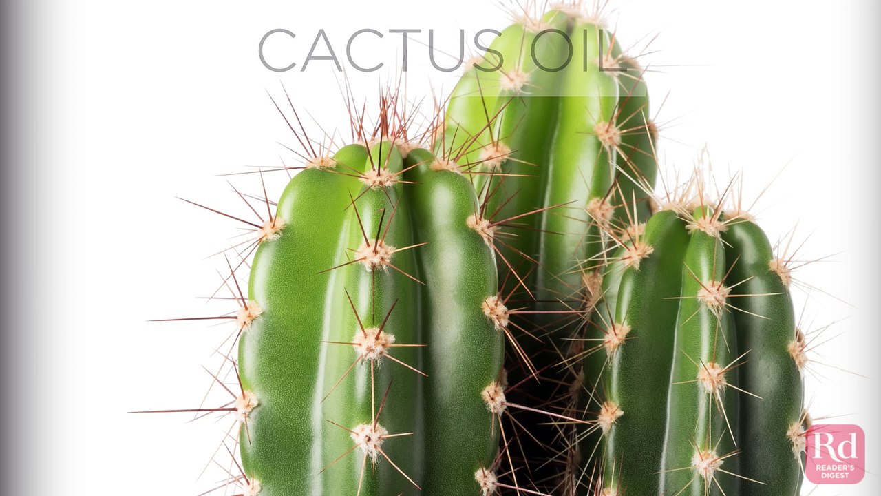 Best Oils for Your Hair