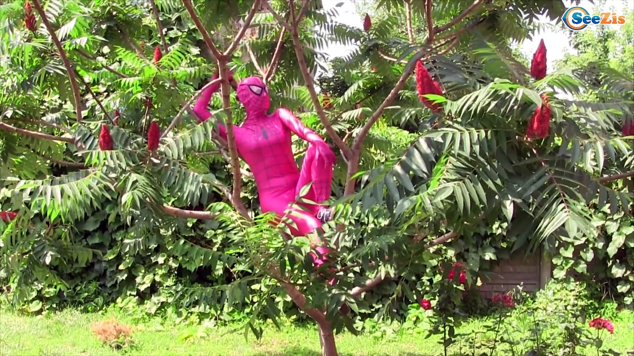 Spiderman, Frozen Elsa & Pool Prank Pink Spider Girl Hulk Spiderbaby w/ Maleficent Superheroes IRL