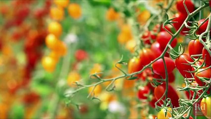 Fruits and Vegetables that Are Best to Buy in Summer