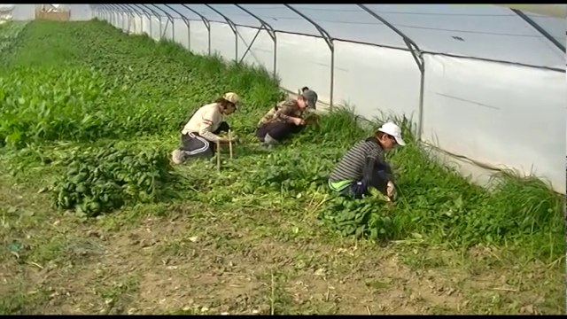 Ora News - Fier - Rriten eksportet, prodhimet shqiptare në të gjithë Evropën