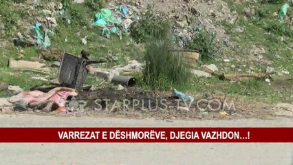 VARREZAT E DËSHMORËVE, DJEGIA VAZHDON…!