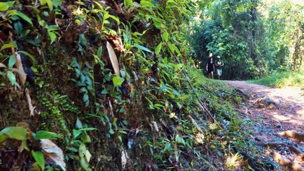 Discover Thailand  hiking in Si Phang Nga National Park