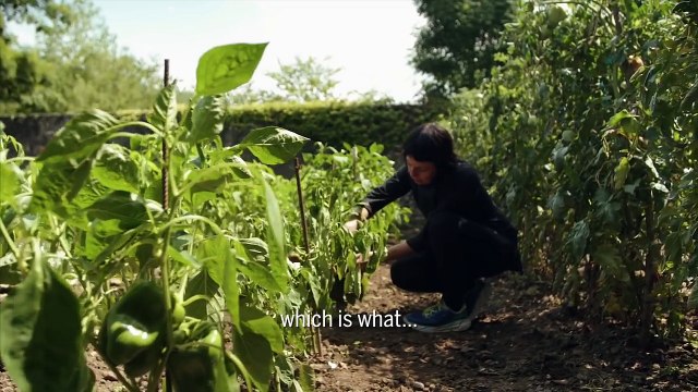 Spanish recipes From the Source (part 1) - Lonely Planet