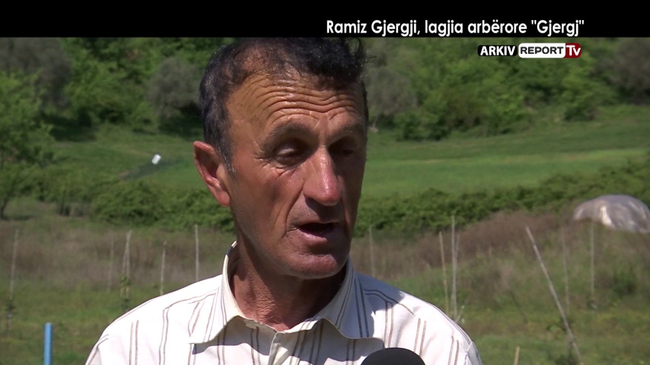 Report TV - Veri -  Jug, RAMIZ GJERGJI LAGJA ARBERORE GJERGJ NGA AGIM PIPA
