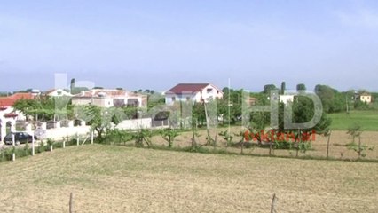 Sherr në familje, vjehrri vret nusen e djalit