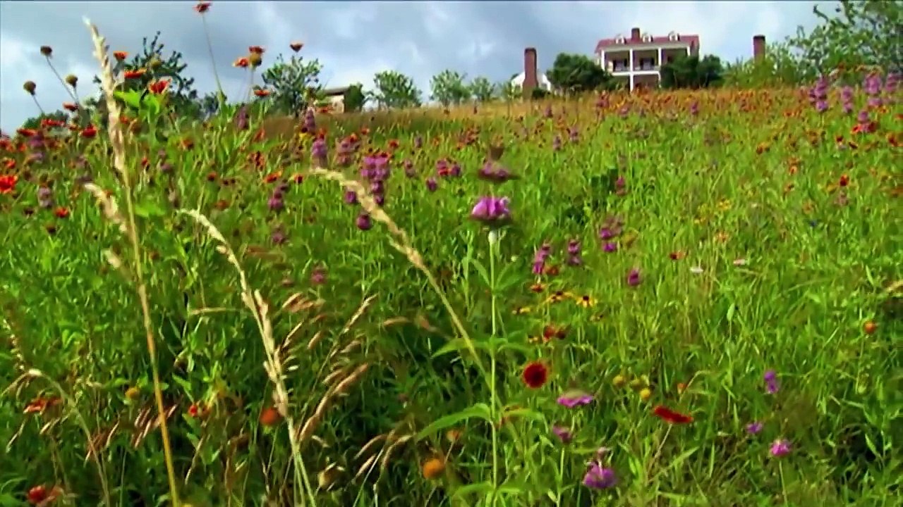 Janet - Coaching Testimonial Tony Robbins Results Coaching