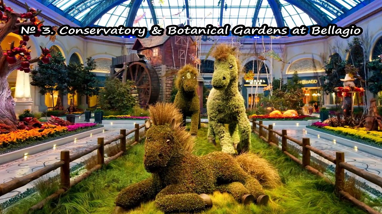 TOP 15. Best Free Attractions in Las Vegas, Nevada