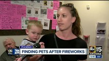 Dogs flood Phoenix animal shelters after July 4