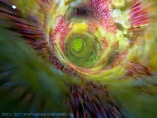 What is a Root Canals