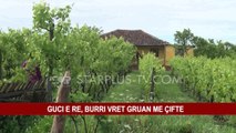 GUCI E RE, BURRI VRET GRUAN ME ÇIFTE