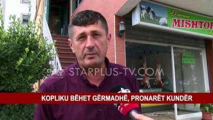 KOPLIKU BËHET GËRMADHË, PRONARËT KUNDËR