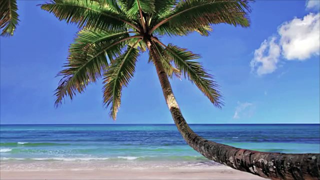 Never Forget These Beach Safety Rules