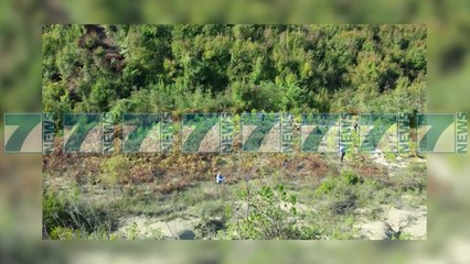 ZBULOHET NJE PARCELE ME 280 BIME KANABISI NE TIRANE - News, Lajme - Kanali 10