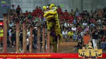 Đoàn lân sư rồng Ánh Sáng Nghệ Thuật Kuala Lumpur và hiệp hội thể thao Vũ Long (9.15 điểm)