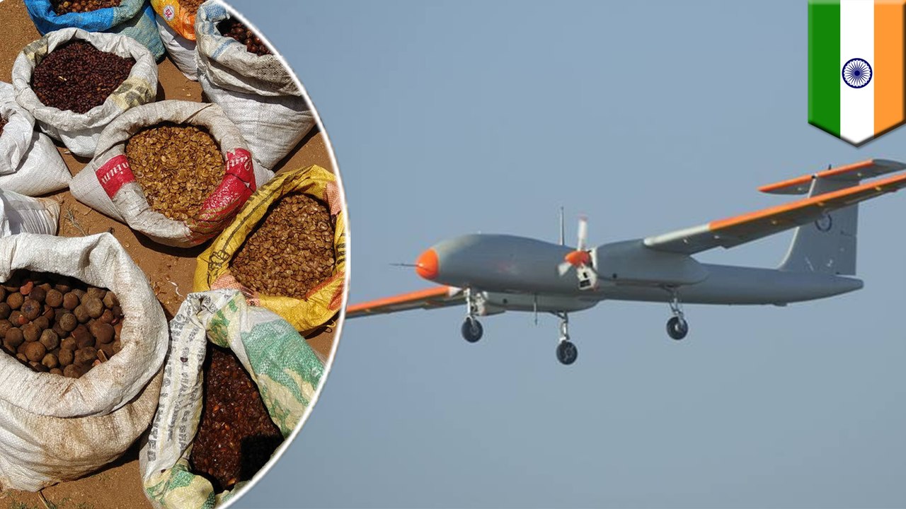 Indian scientists use drone seed-bombing to plant a forest