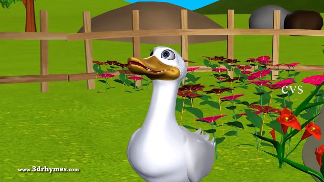 Five Little Ducks went out one day - 3D Animation English Nursery Rhymes for Children