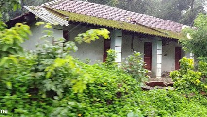 Coffee Estate Homestay in Chikmagalur - Mekanagadde Homestay
