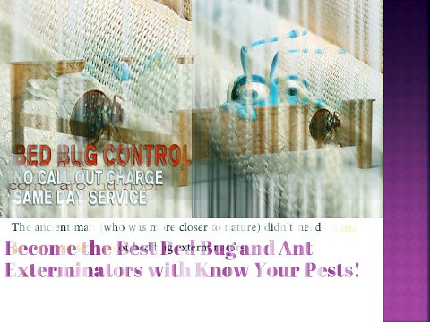 Become the Best Bed Bug and Ant Exterminators with Know Your Pests!