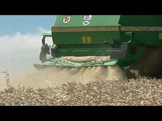 Subvencionet do të paguhen më së voni të hënën