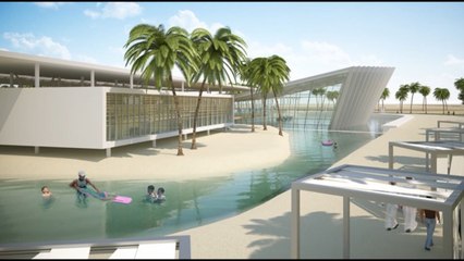 Report TV - Organizatat mjedisore kundër ndërtimit të resortit në Divjakë