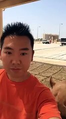 The Camel Selfie Gone Wrong