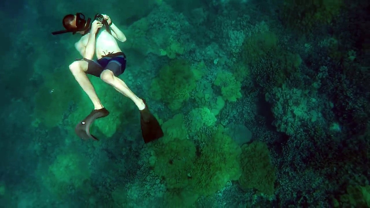 Wild Dolphin Triple Barrel Rolls