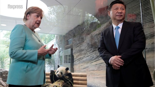 Avant le G20, les pandas ambassadeurs rapprochent Merkel et Xi